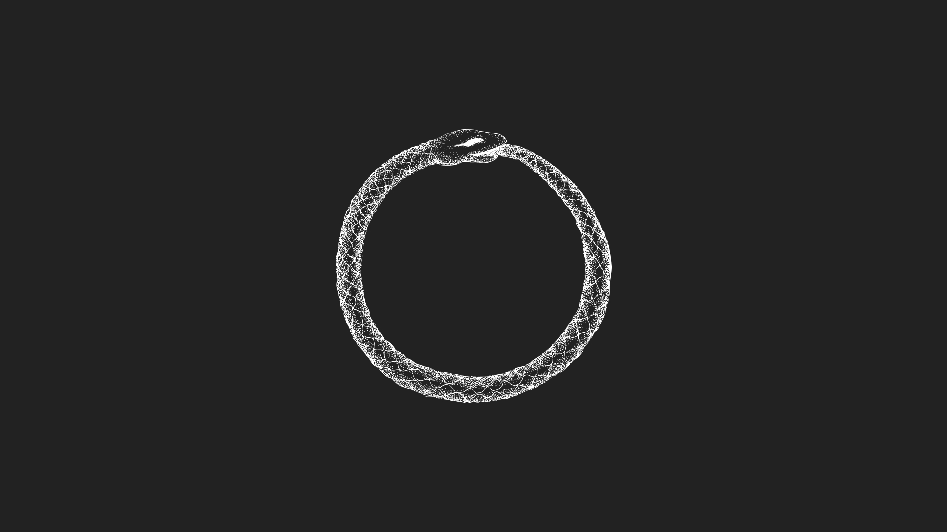 The Curse of the AI Ouroboros